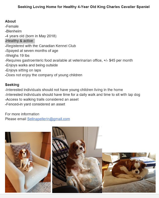 Adult Needing a Home