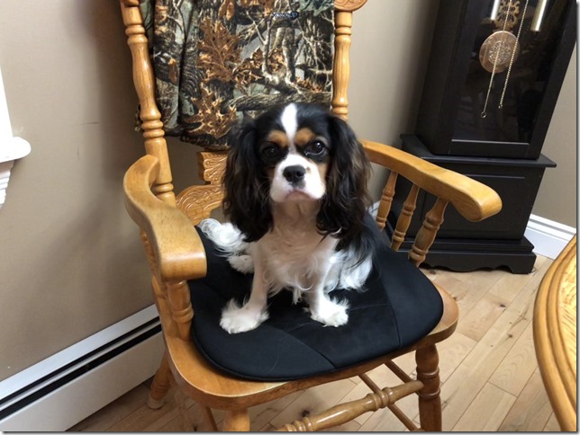 Jenny at 10 months old.