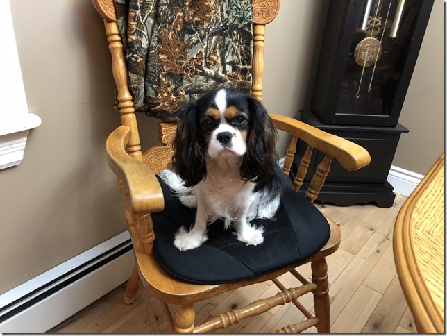 Jenny at 10 months old.