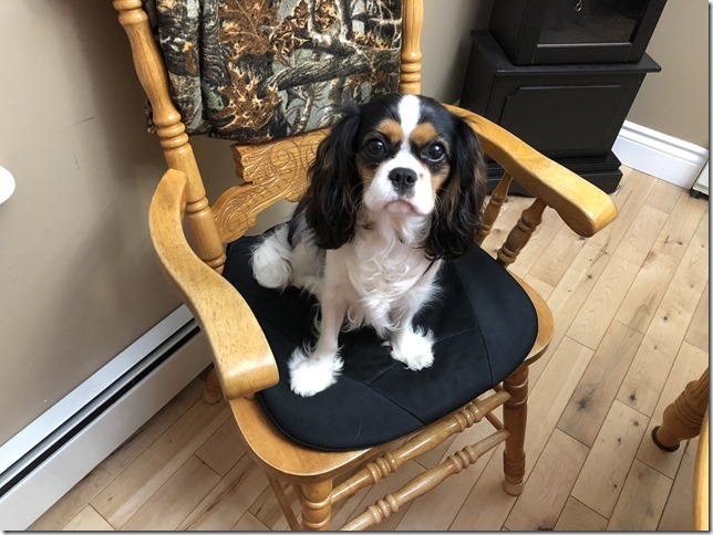 Jenny at 10 months old.