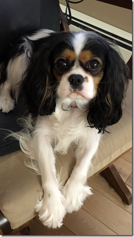 Jenny at 2 years old.