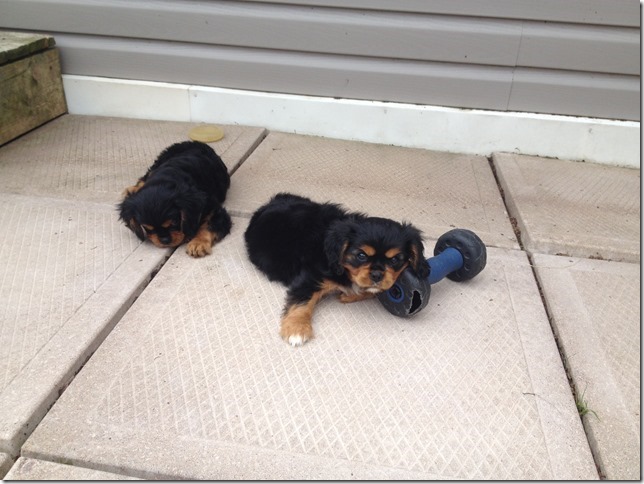 Toby & Floyd