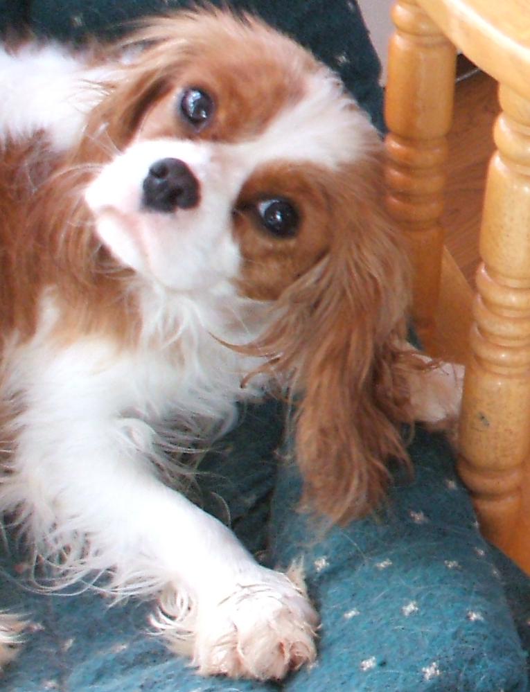 Link to Bella's Page