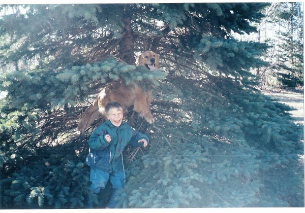 Buddy climbing another tree.
