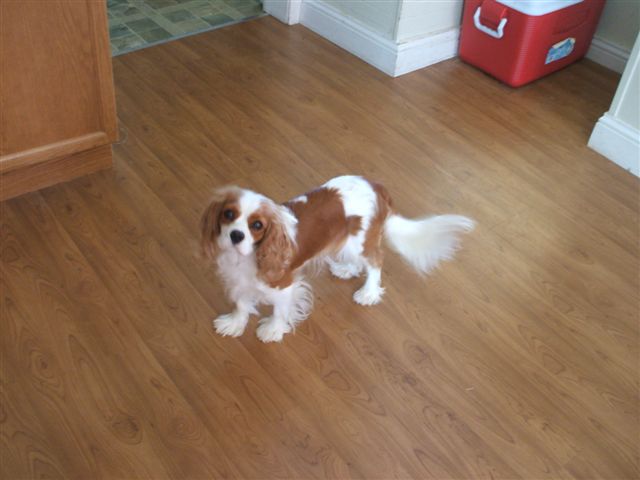 Caleigh standing pretty.
