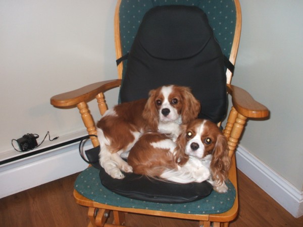 Casey and Jake seem to think they own this chair.