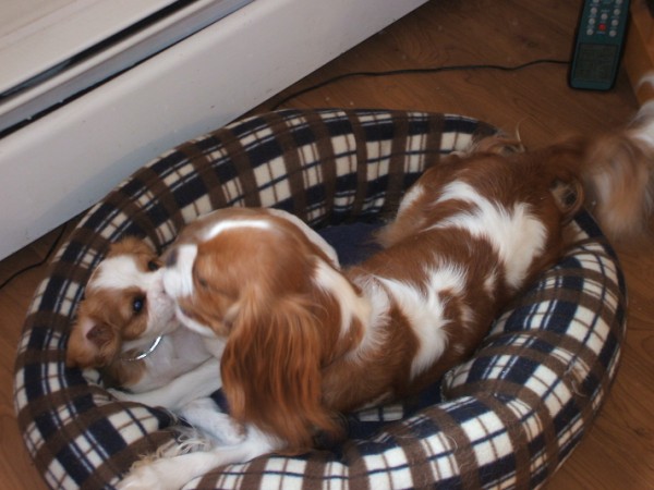 Casey & Jake