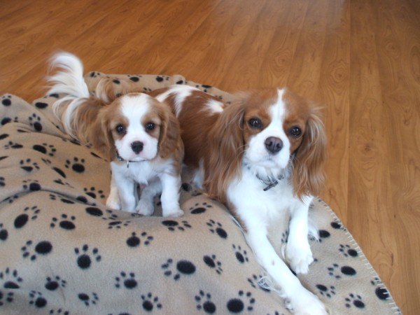 Casey & Jake