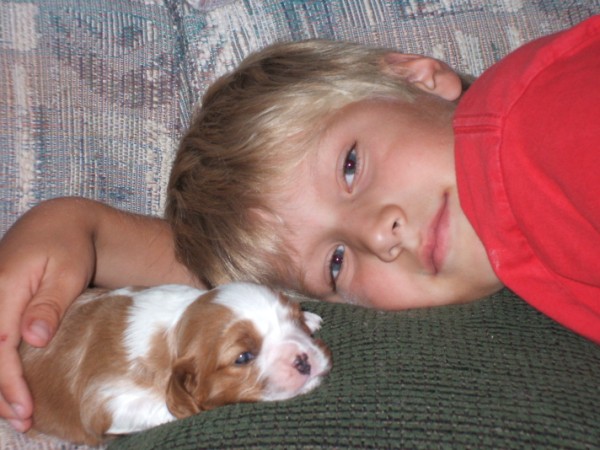 Our youngest boy snuggling with one of the pups.