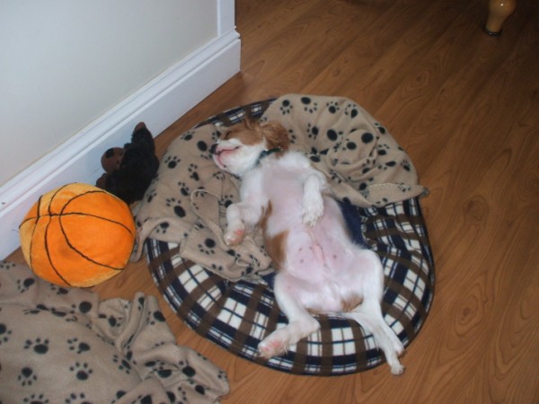 Jake getten real comfortable.