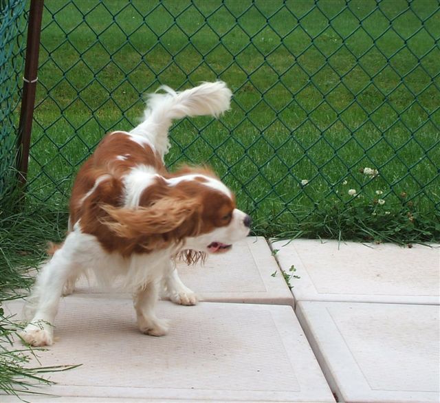 Jake on the move.