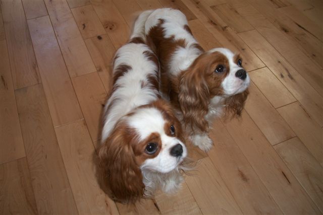Jamal and Bella. Jamal is to the left and Bella is on the right.