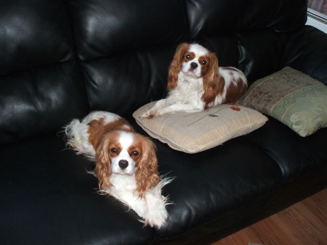 Jamal resting on the couch with Caleigh.  Jamal is on the right and Caleigh is on the left.