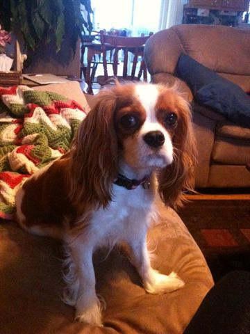 Marley