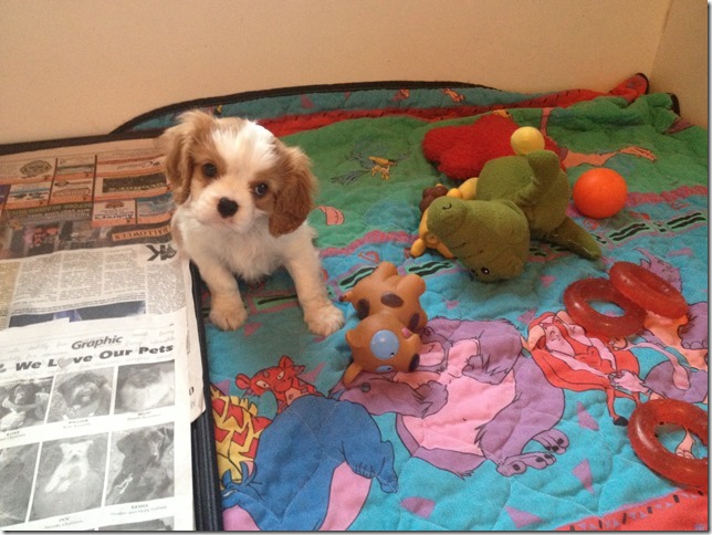boy at 7 weeks old