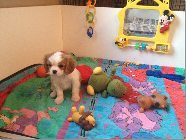 boy at 7 weeks old