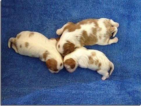 6 days old.