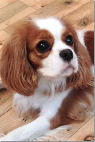Link to Mindy's Page.