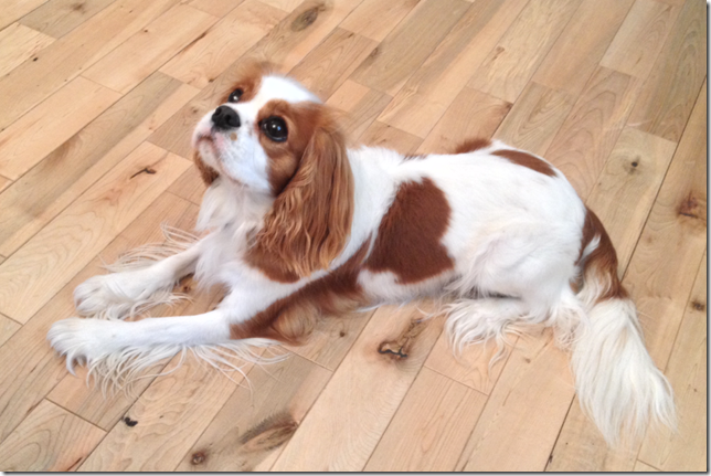 Mindy at 2 years old.