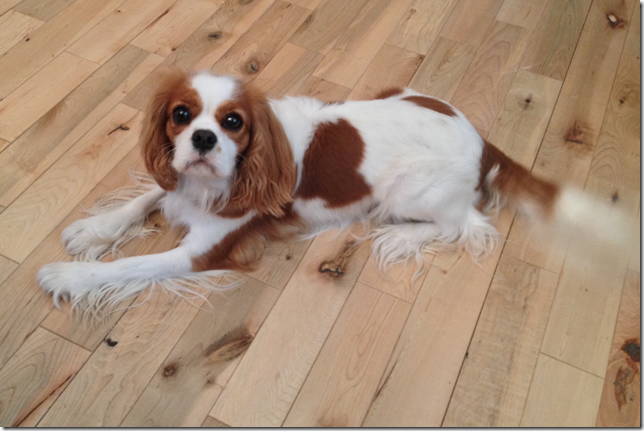 Mindy at 2 years old.