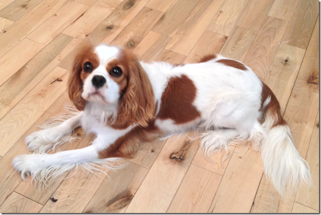 Mindy at 2 years old.