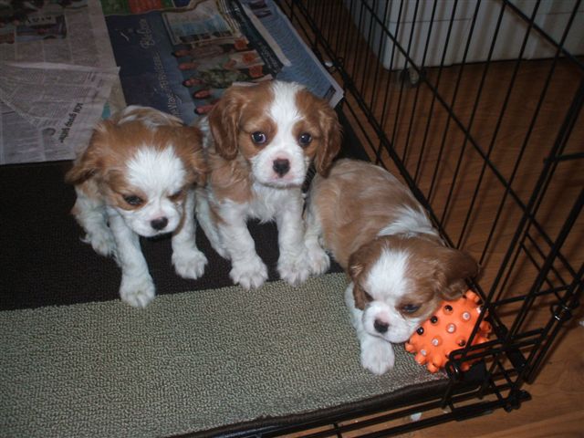 Ok ok, we're up for a picture now.