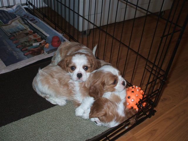 Enough pictures, we're going back to sleep.