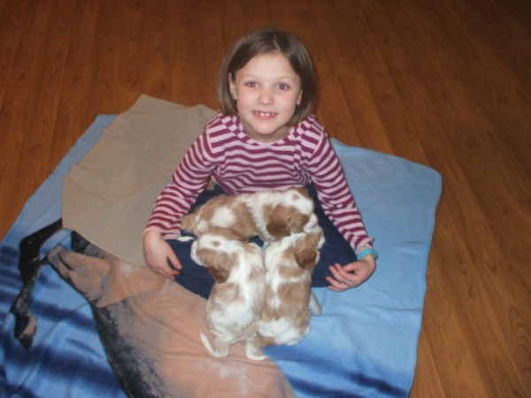 A friend of ours playing with the puppies.