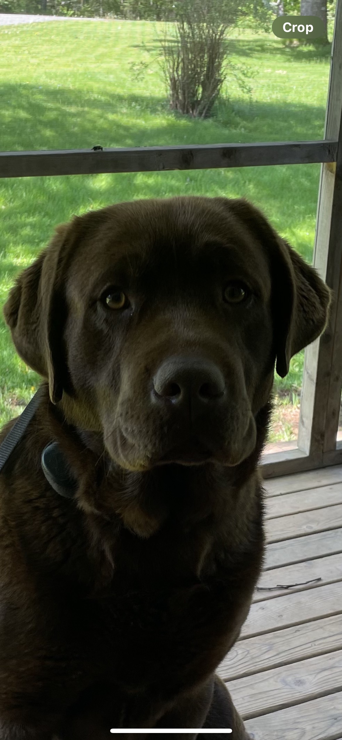 Ruger The dad