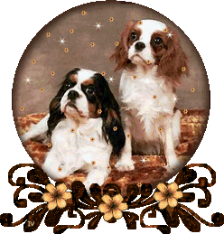 Cavalier Snowglobe