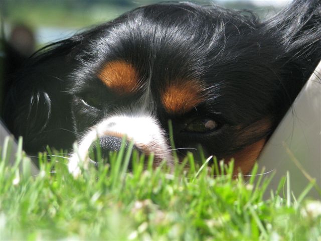Tucker's head shot.